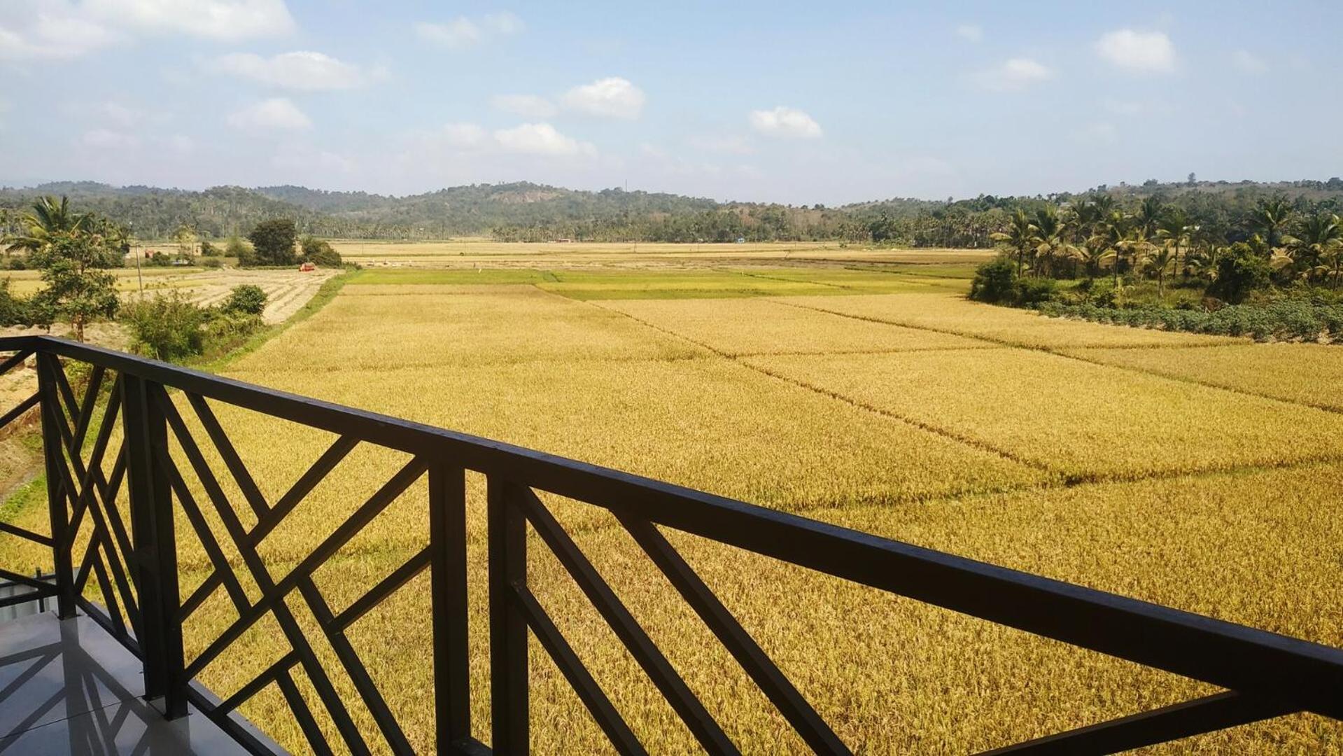 Paddyfield Inn Mananthavady Eksteriør bilde